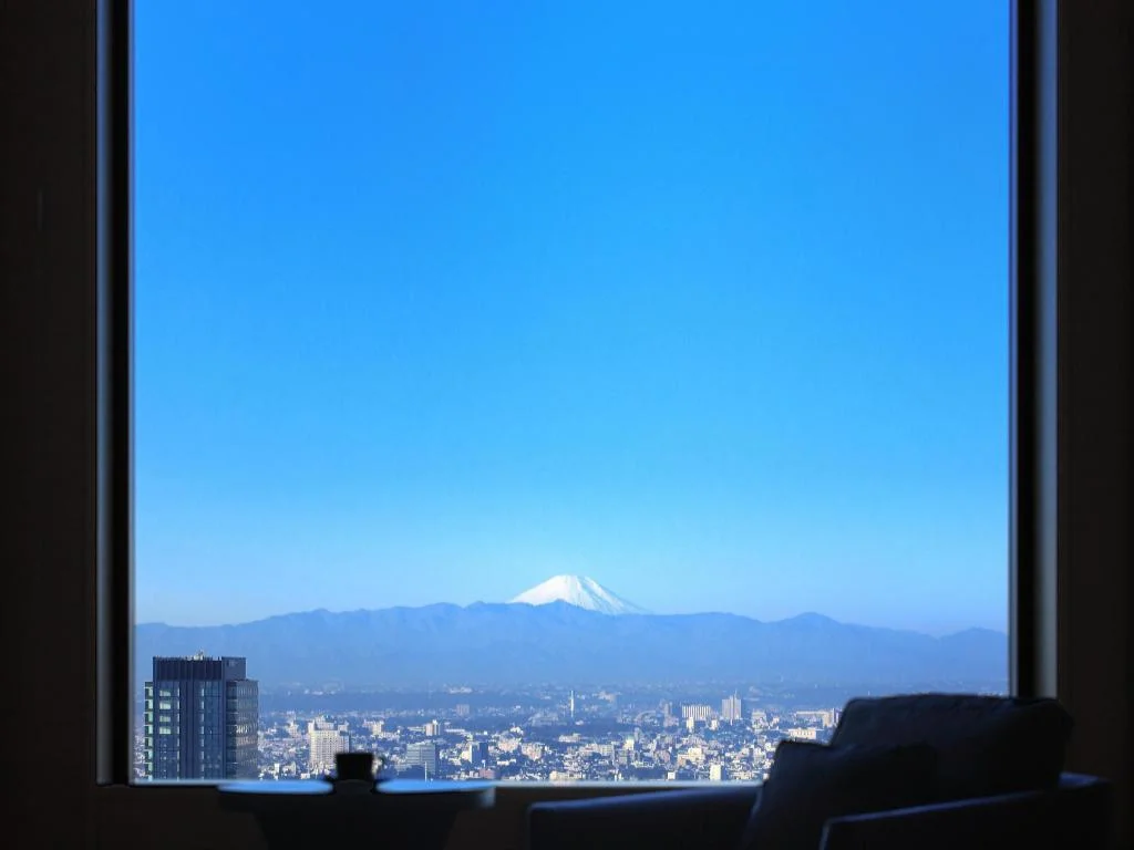 Cerulean Tower Tokyu Hotel, A Pan Pacific Partner Hotel 東京住宿照片 (4)