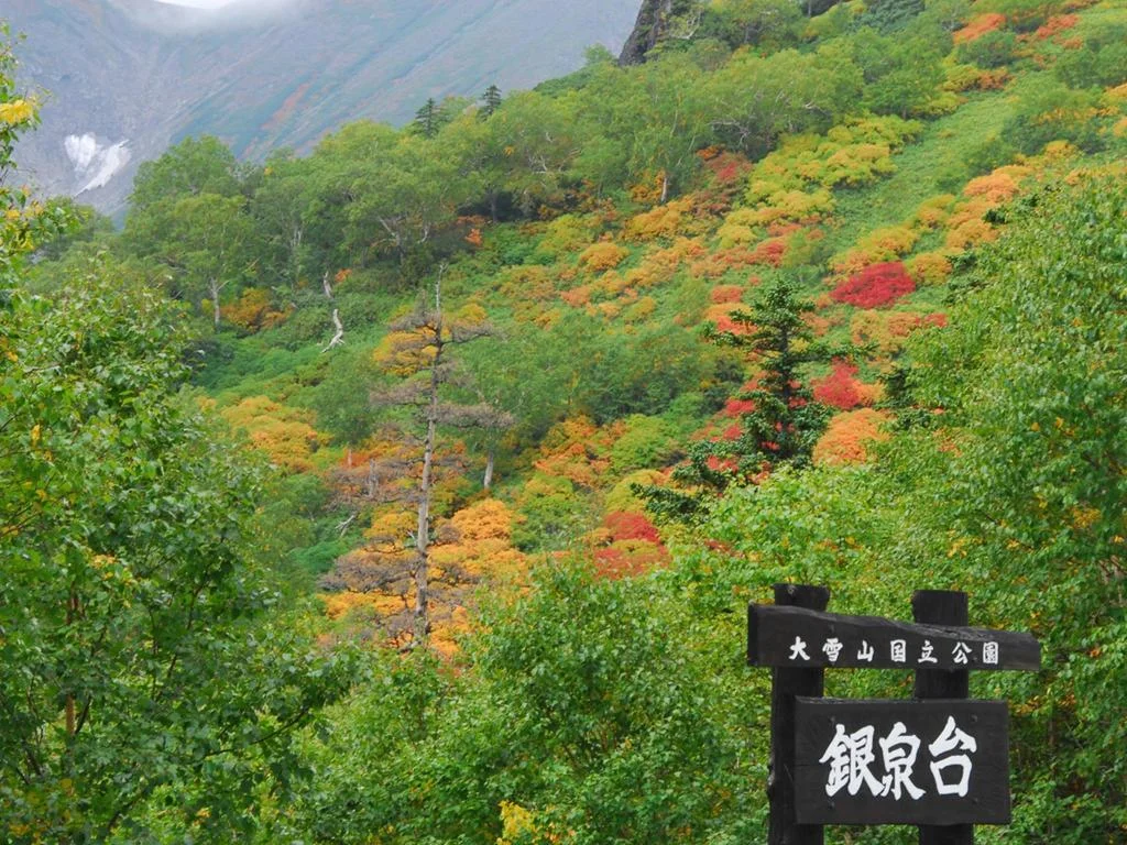 Choyo Tei Hotel 旭川住宿照片 (5)