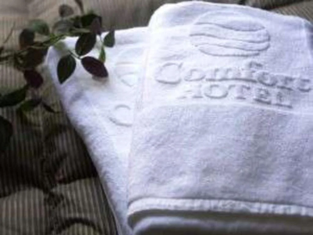 Comfort Hotel Yokohama Kannai 橫濱住宿照片 (2)