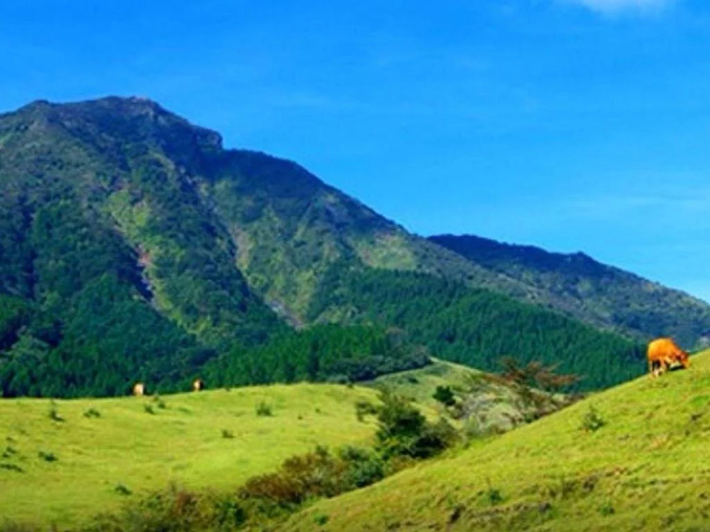 Dormy Inn Kumamoto Natural Hot Spring 熊本住宿照片 (4)