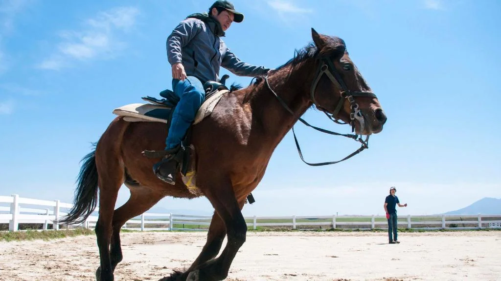 El Patio Ranch 阿蘇住宿照片 (4)