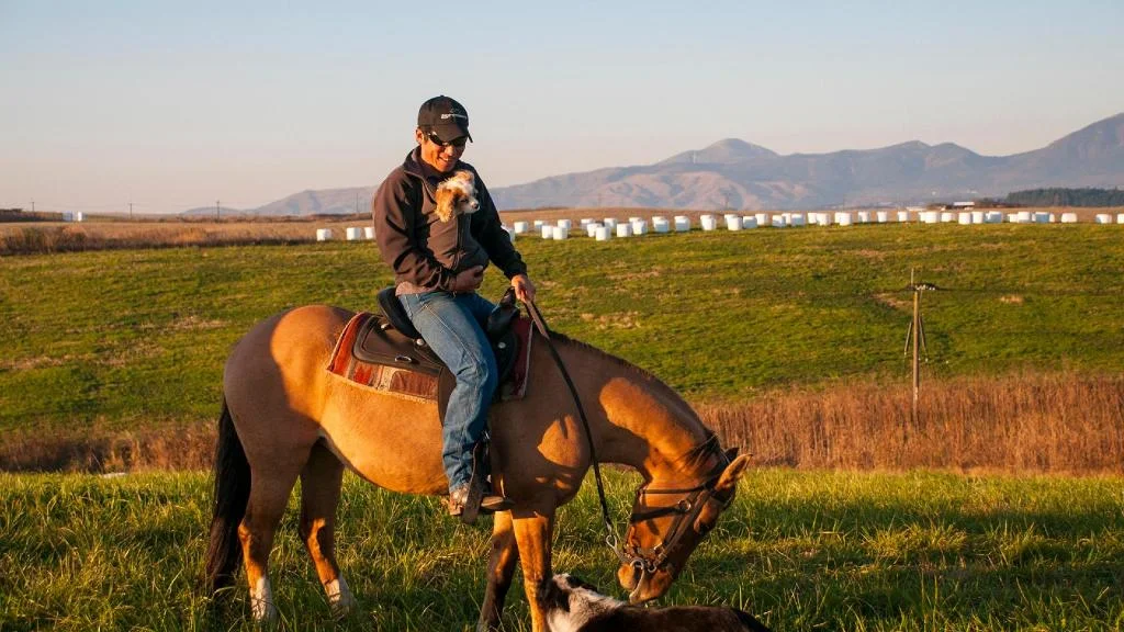 El Patio Ranch 阿蘇住宿照片 (5)