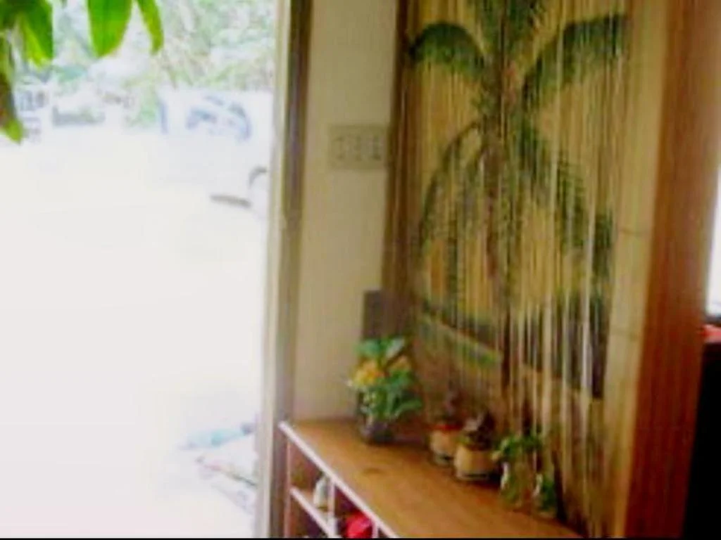 Guest House Iriwa 石垣島住宿照片 (3)