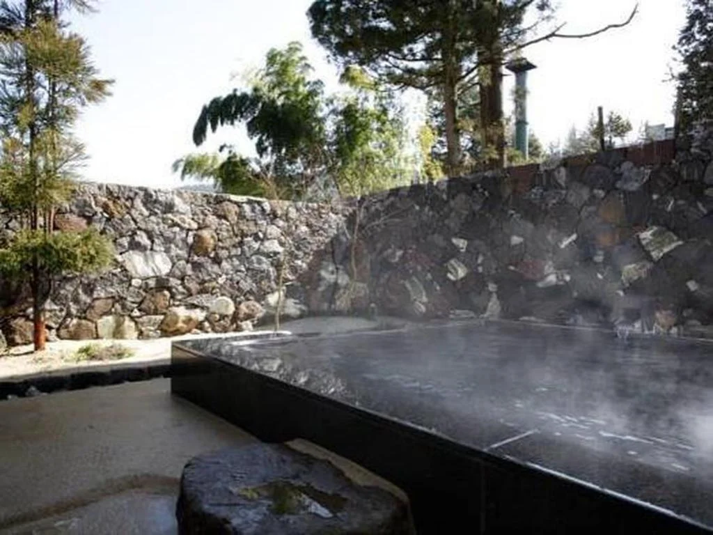 Hakone Suishoen 箱根住宿照片 (3)