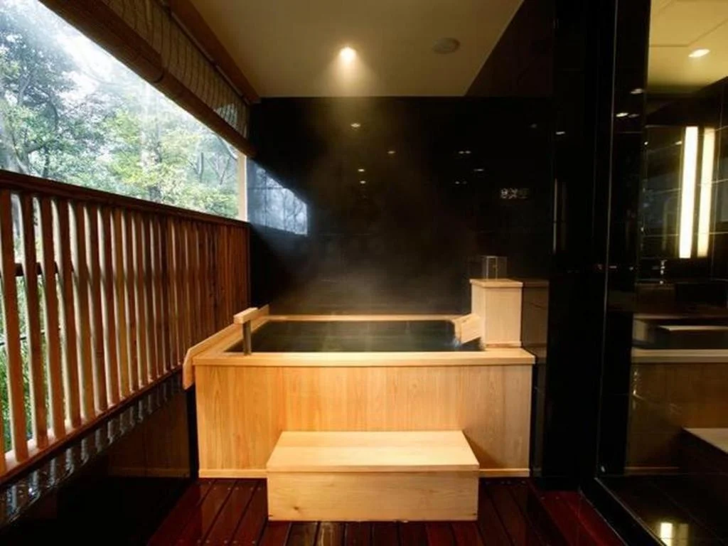 Hakone Suishoen 箱根住宿照片 (4)