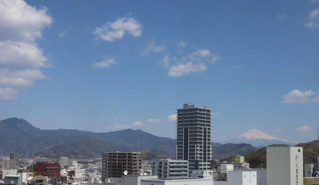 Hotel Associa Shizuoka 靜岡住宿照片 (2)