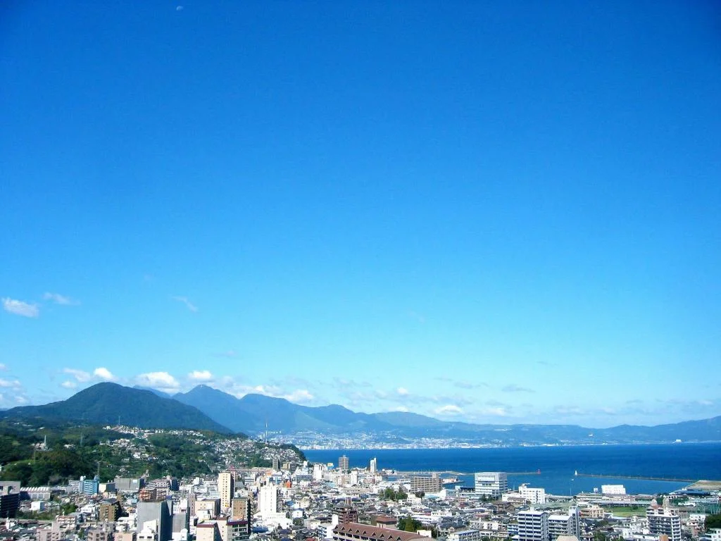 Hotel Nikko Oita Oasis Tower 大分住宿照片 (4)