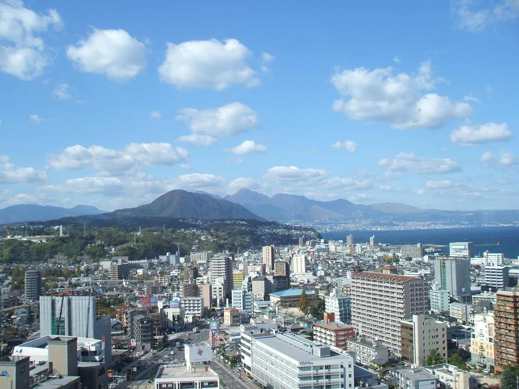 Hotel Nikko Oita Oasis Tower 大分住宿照片 (5)