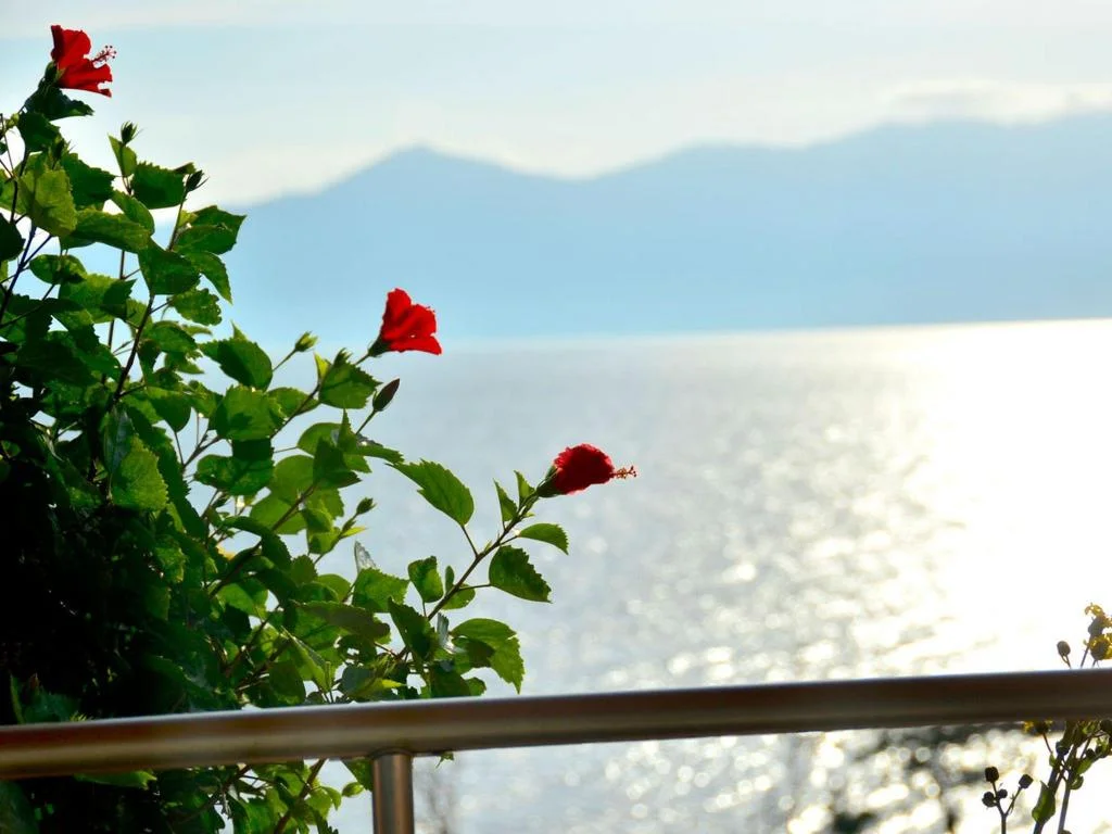 Ibusuki Iwasaki Hotel 鹿兒島住宿照片 (4)