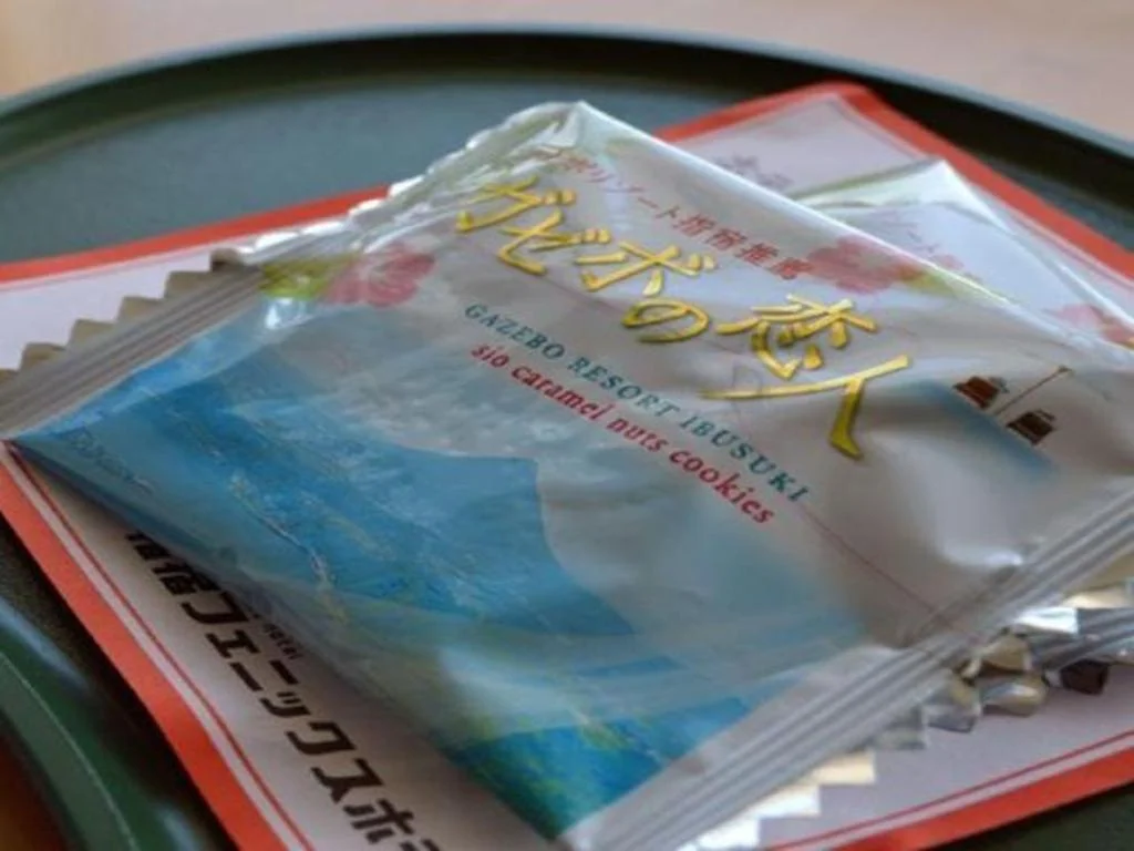 Ibusuki Phoenix Hotel ibusuki住宿照片 (2)