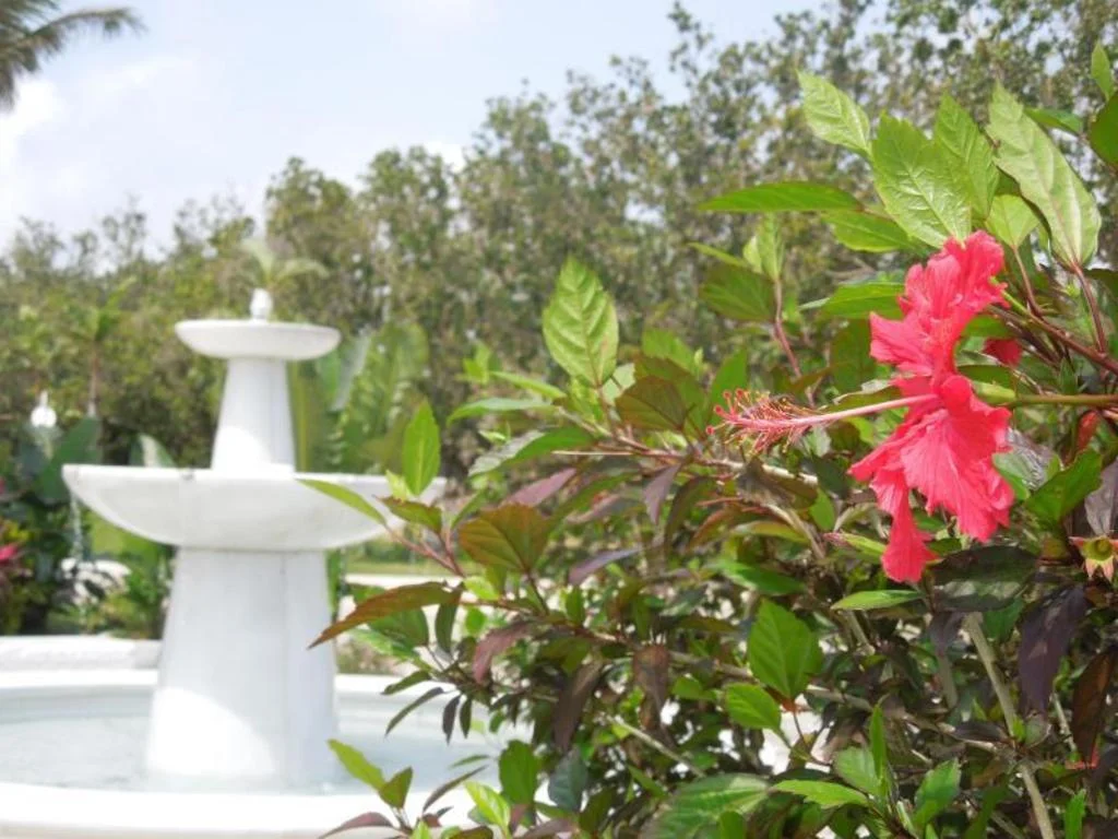 Ishigaki Resort Hotel 石垣島住宿照片 (3)