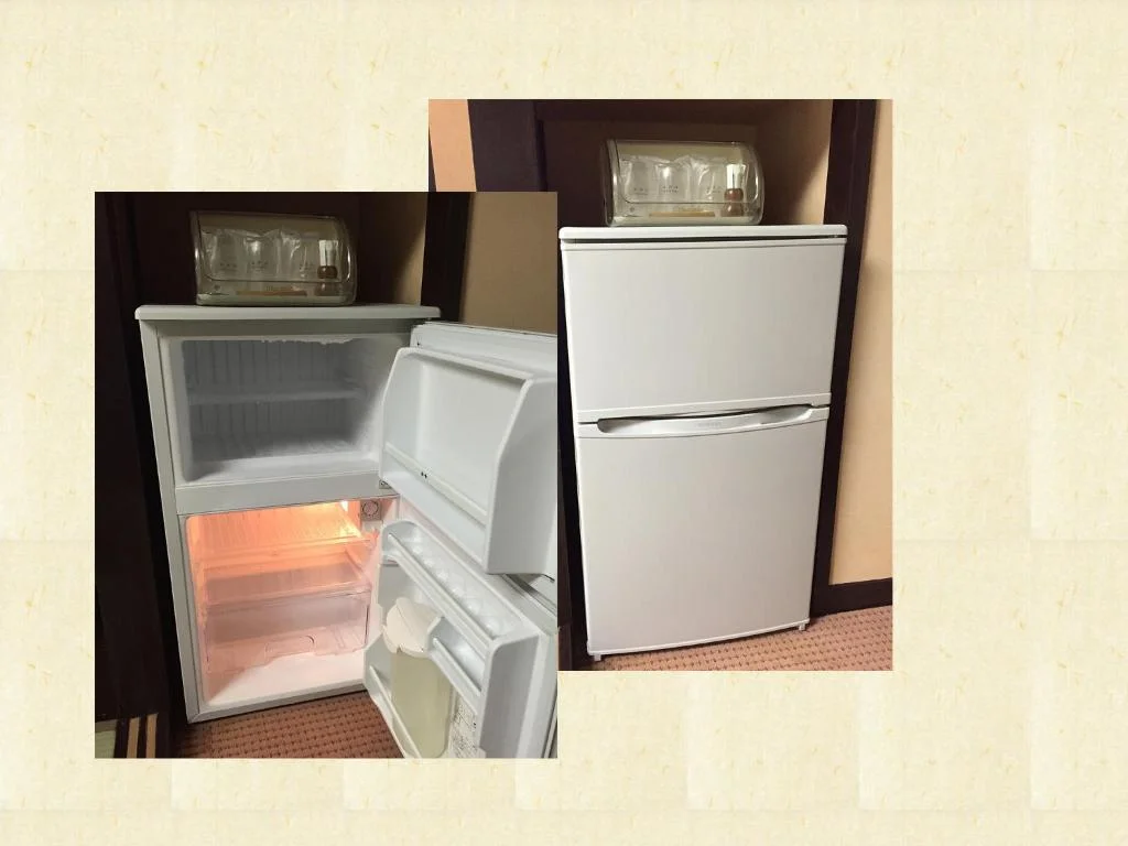 Isshinkan 栃木住宿照片 (2)