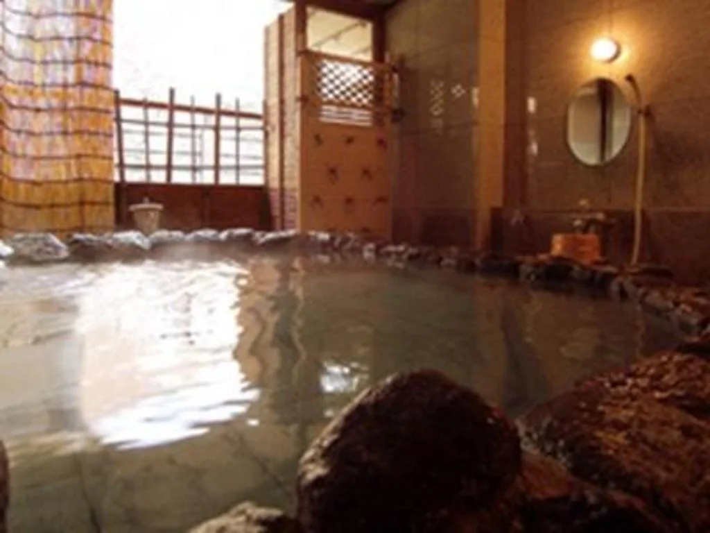 Isshinkan 栃木住宿照片 (5)