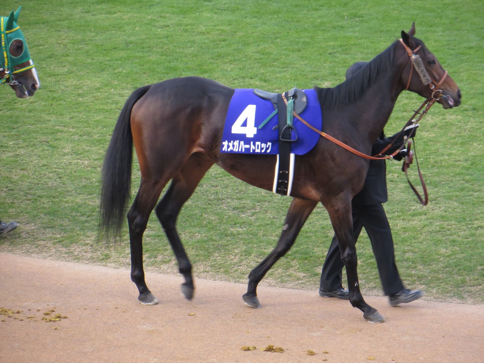 歐米伽心形岩石