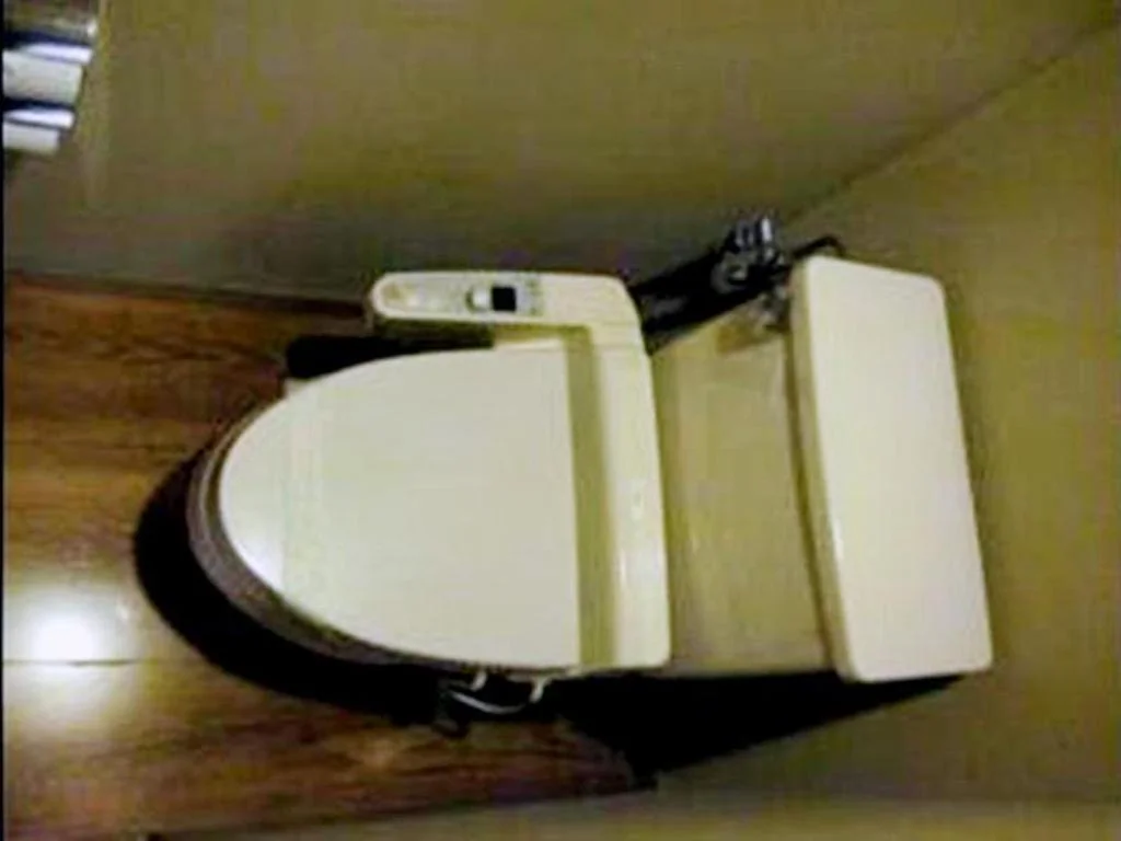 Kasuga Hotel 奈良住宿照片 (5)