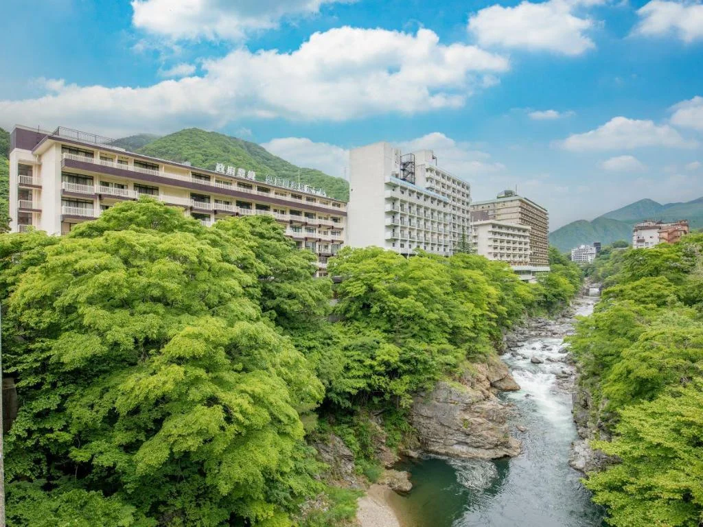 Kinugawa Onsen Hotel 日光住宿照片 (1)