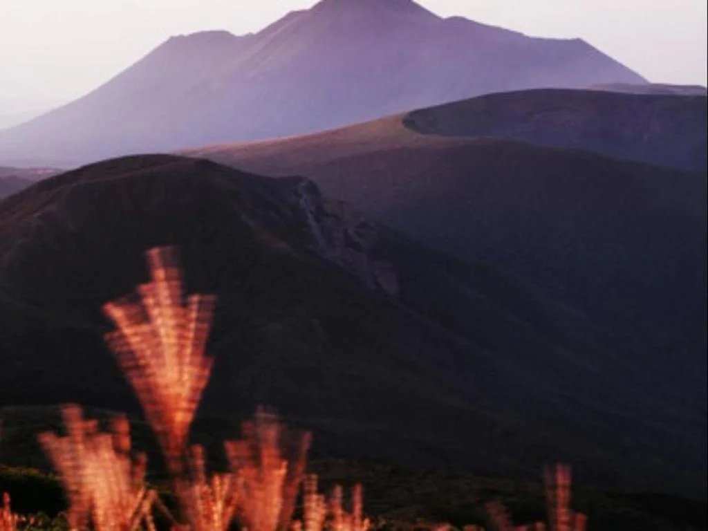 Kirishima Kanko Hotel 霧島住宿照片 (3)