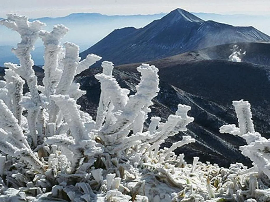 Kirishima Kanko Hotel 霧島住宿照片 (5)