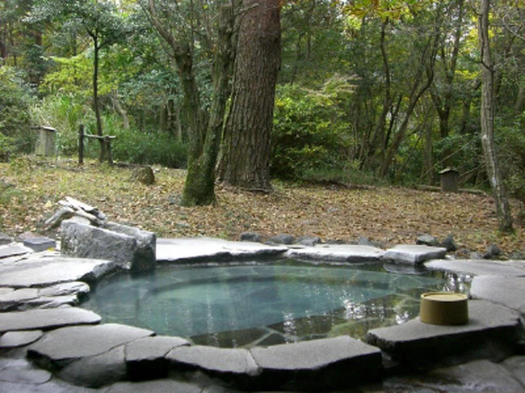 Kirishima Onsen Ryokojin Sanso 霧島住宿照片 (3)