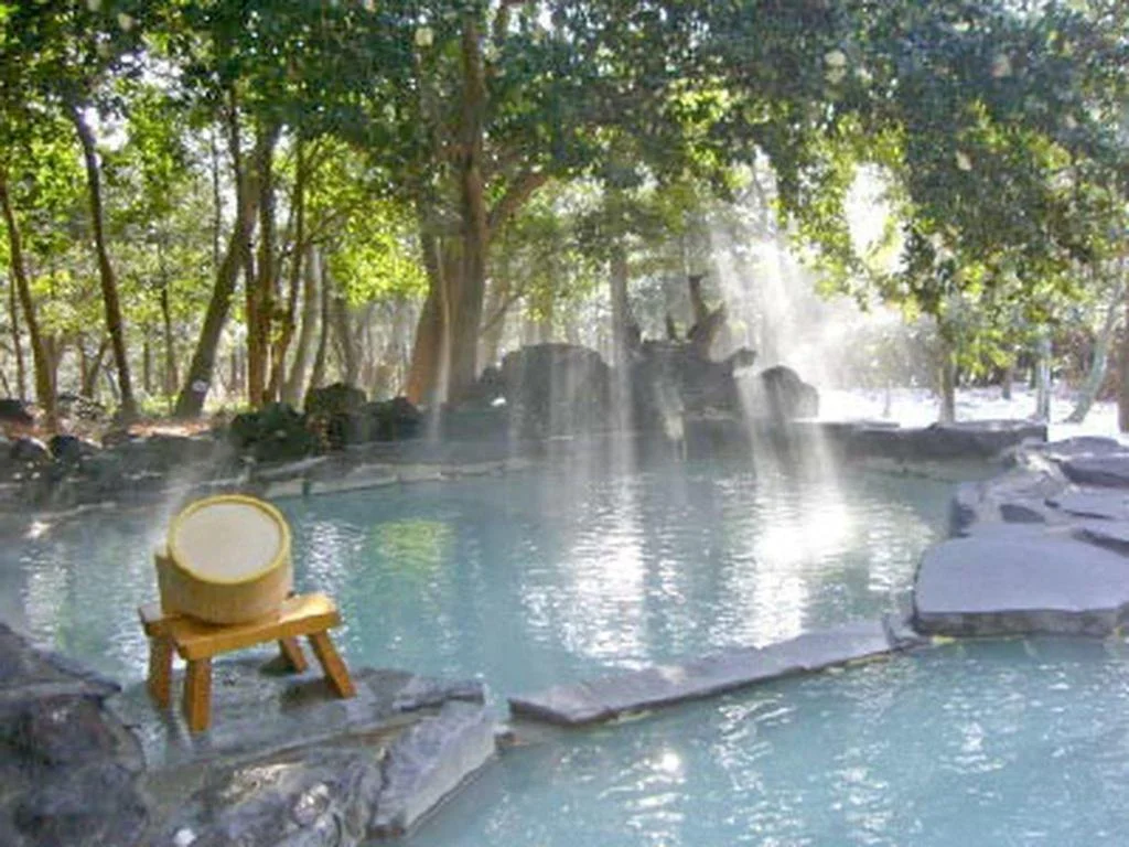 Kirishima Onsen Ryokojin Sanso 霧島住宿照片 (5)