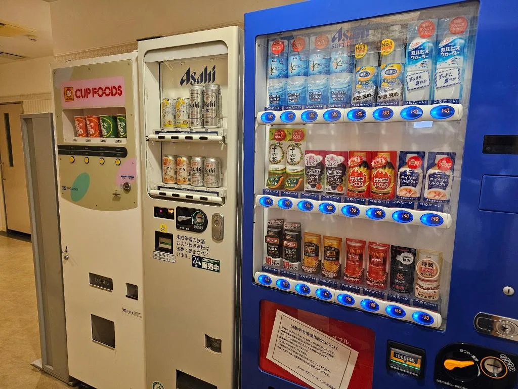 Kiyonami Hotel 清水住宿照片 (5)