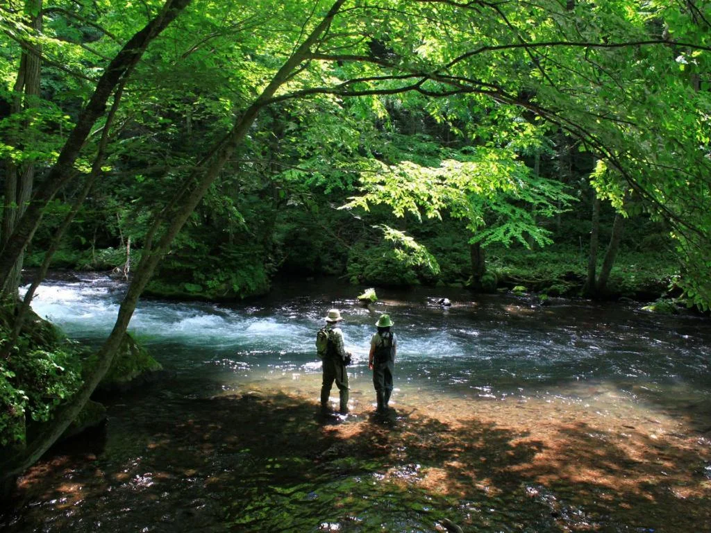 Lake Akan Tsuruga Wings 阿寒湖住宿照片 (4)