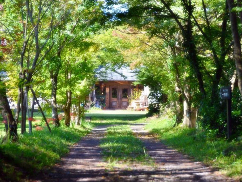 Minami Aso Luna Observatory Auberge Mori No Atelier 阿蘇住宿照片 (3)