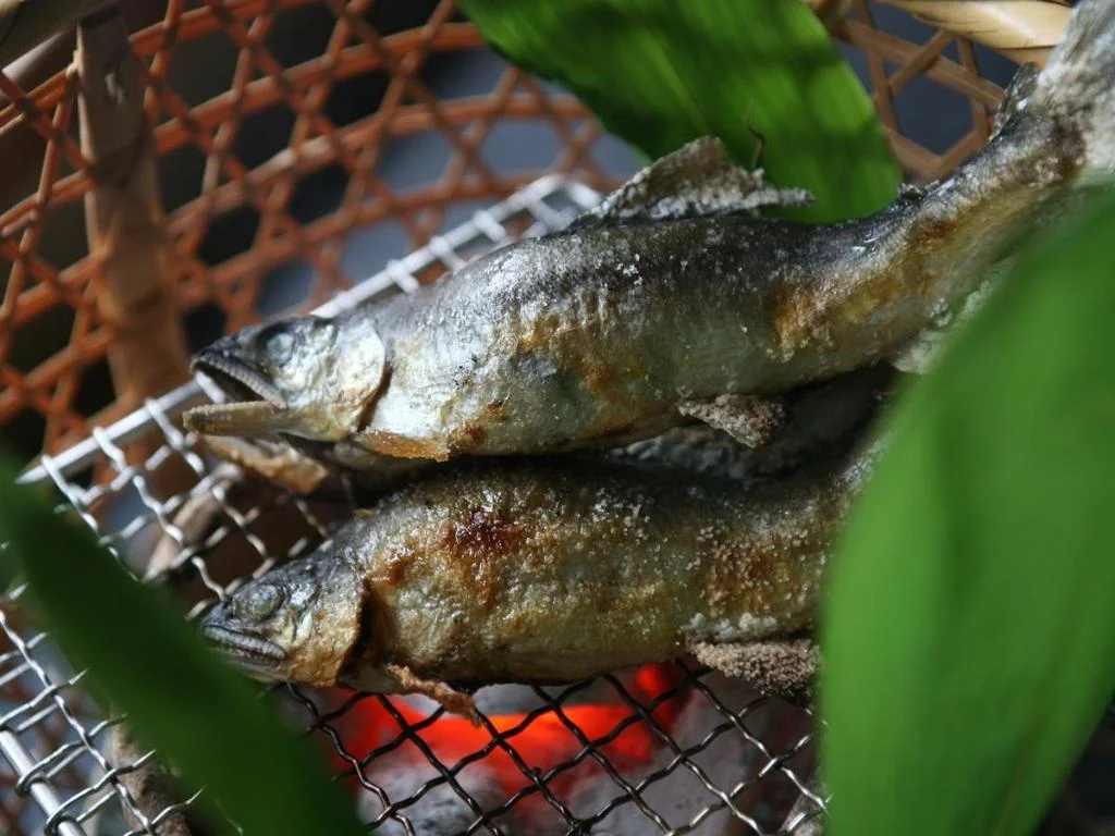 Myoken Ishiharaso 霧島住宿照片 (5)