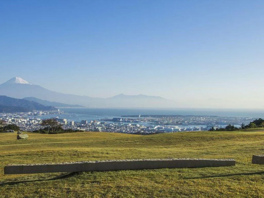 Nippondaira Hotel 靜岡住宿照片 (4)