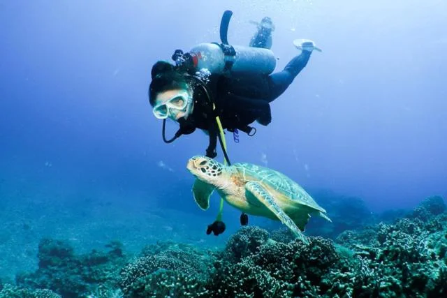 Ocean Front Miyakojima 宮古島住宿照片 (5)
