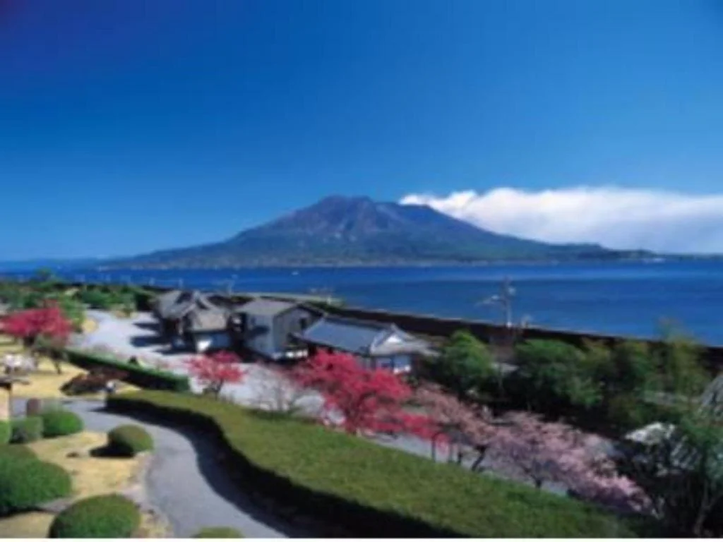 Richmond Hotel Kagoshima Kinseicho 鹿兒島住宿照片 (4)