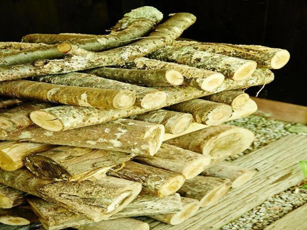 Ryokan Asono Yamaboushi 熊本住宿照片 (3)