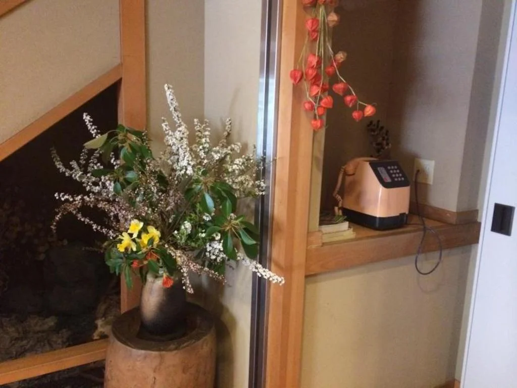 Ryokan Sansui 熊本住宿照片 (5)