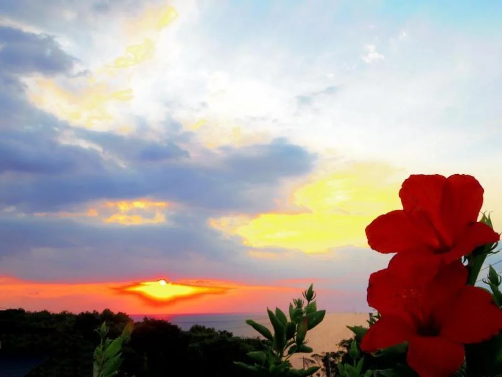 samana hotel Yakushima 屋久島住宿照片 (4)