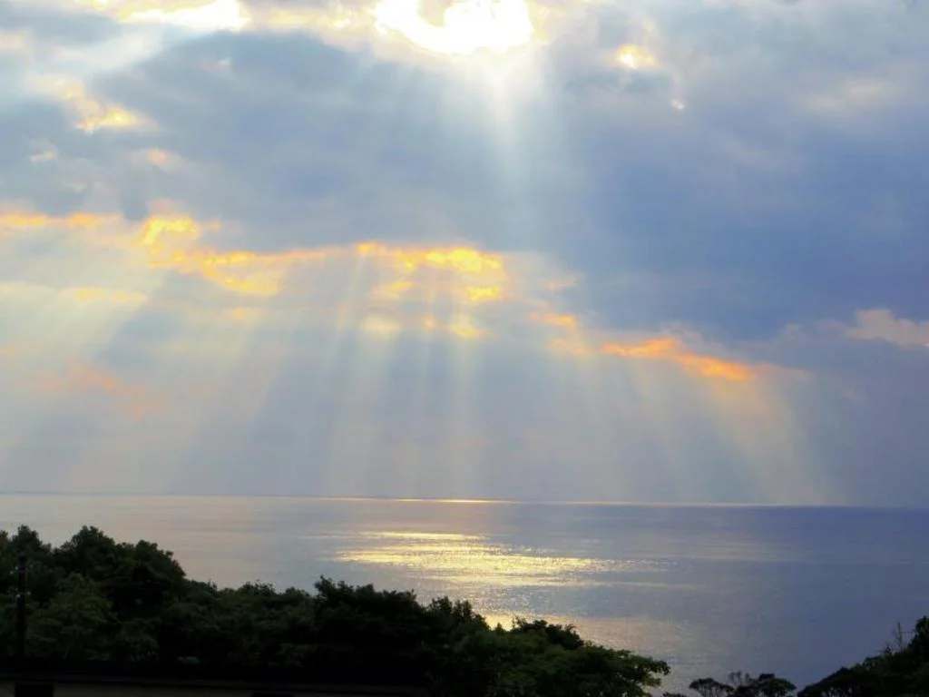 samana hotel Yakushima 屋久島住宿照片 (5)