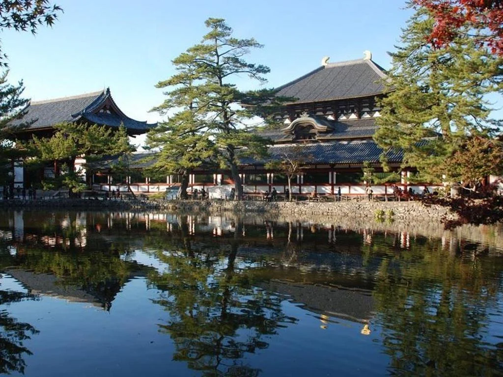 Sarusawaike Yoshidaya 奈良住宿照片 (3)