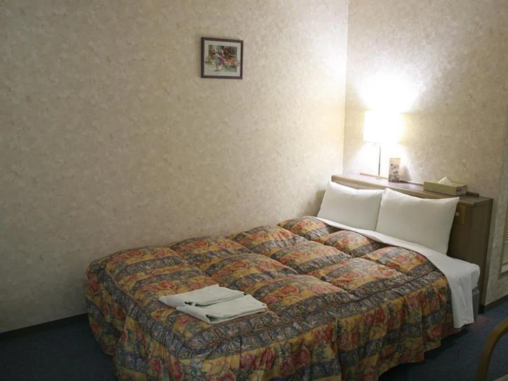 Shizuoka Daiichi Hotel 靜岡住宿照片 (2)