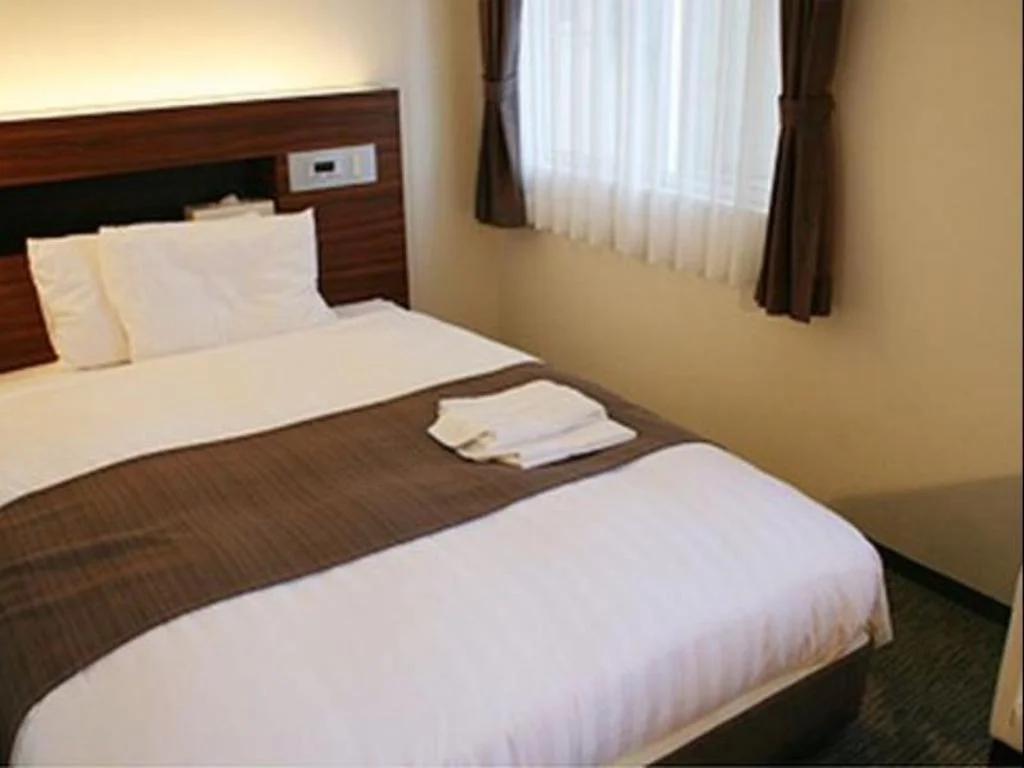 Shizuoka Daiichi Hotel 靜岡住宿照片 (3)