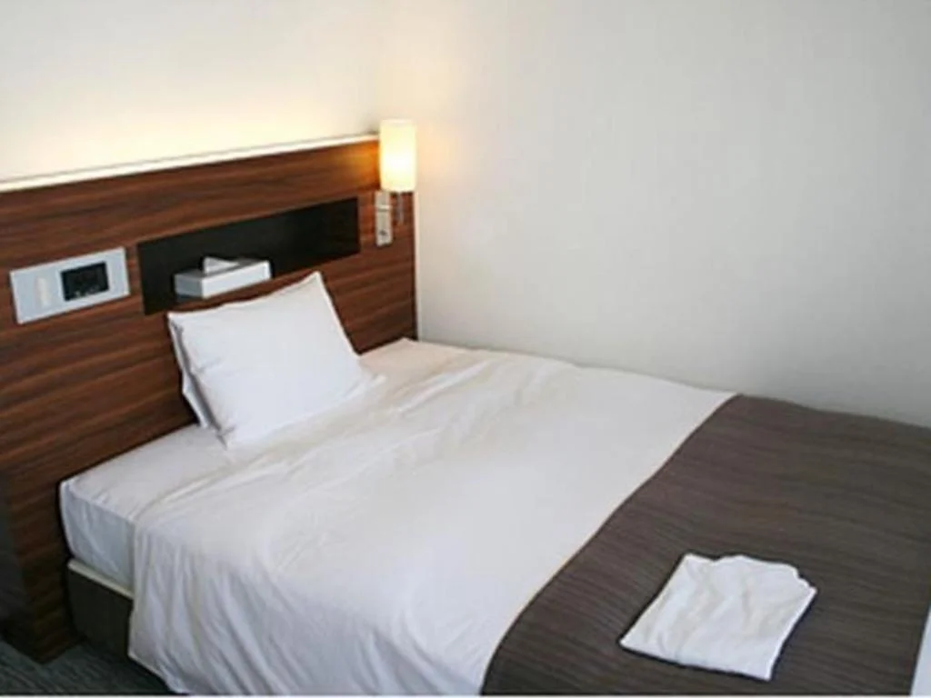 Shizuoka Daiichi Hotel 靜岡住宿照片 (5)