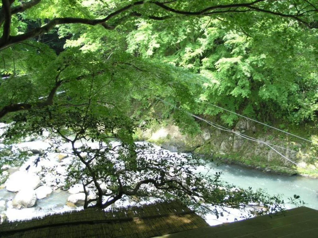 Tounosawa Ichinoyu Honkan Hotel 箱根住宿照片 (2)