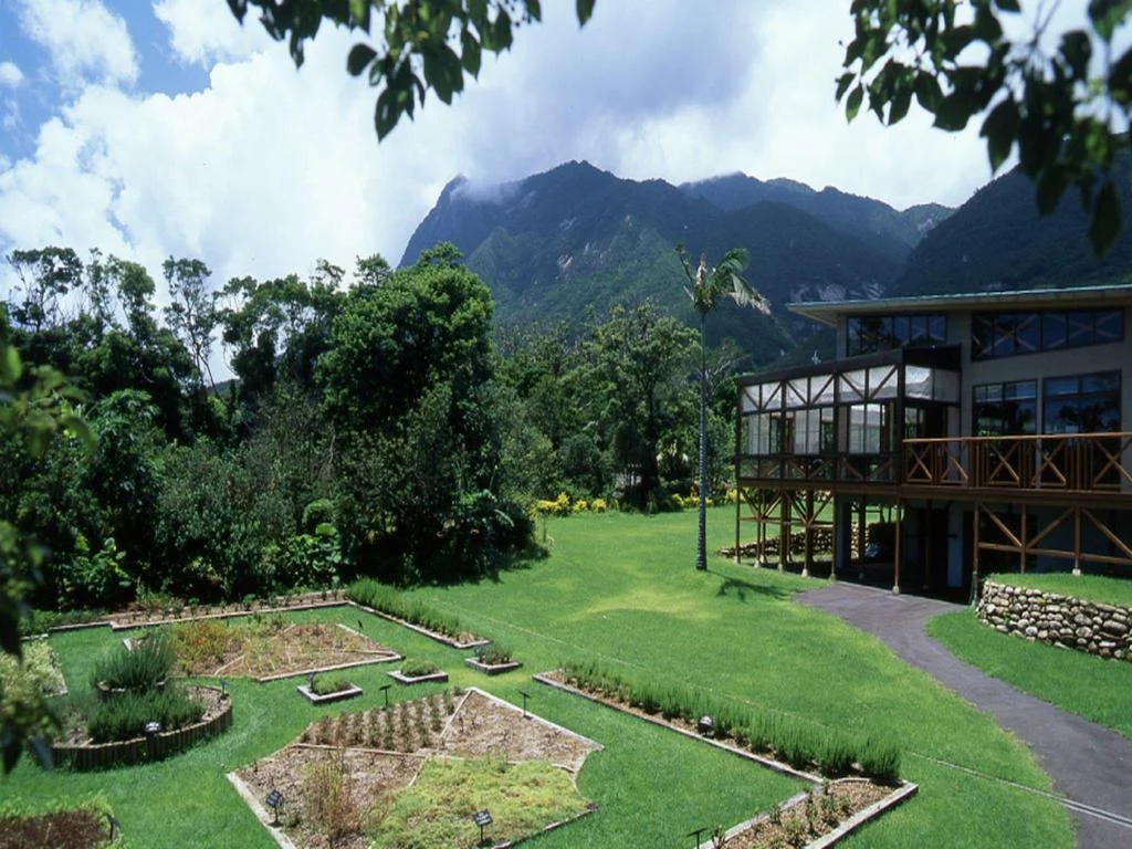 Yakushima Iwasaki Hotel 屋久島住宿照片 (3)
