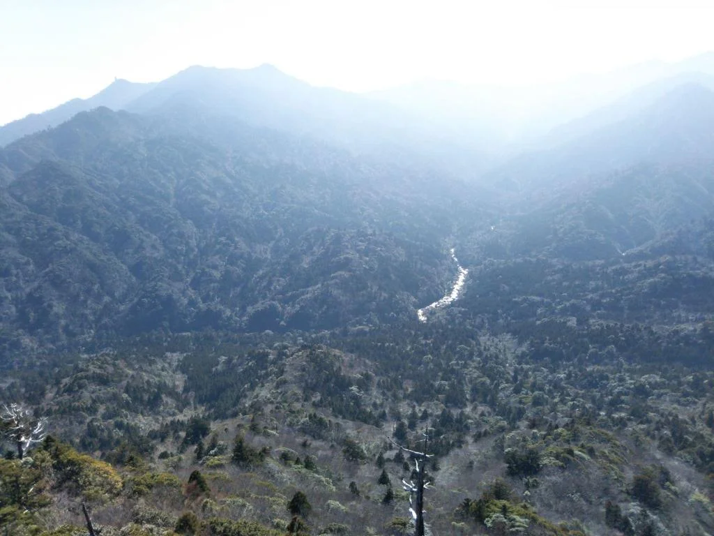 Yakusugi House 屋久島住宿照片 (4)