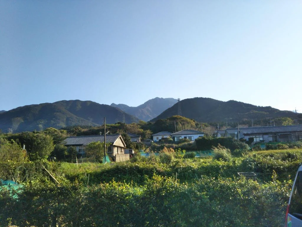 Yakusugi House 屋久島住宿照片 (5)