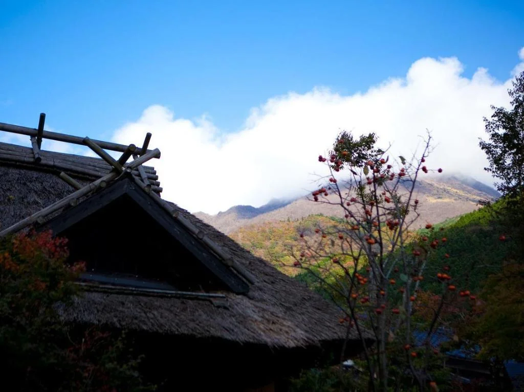 Yufuin Hoteiya 由布院住宿照片 (3)