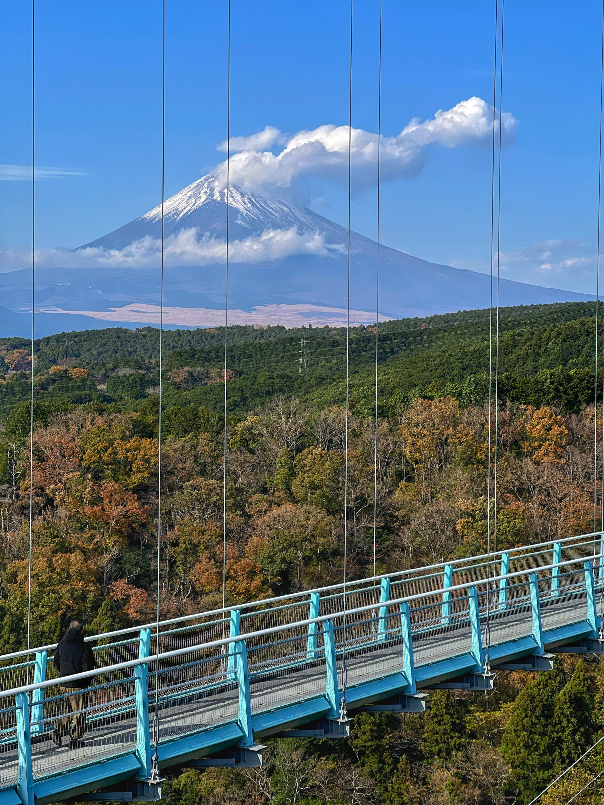 三島大吊橋遠眺富士山