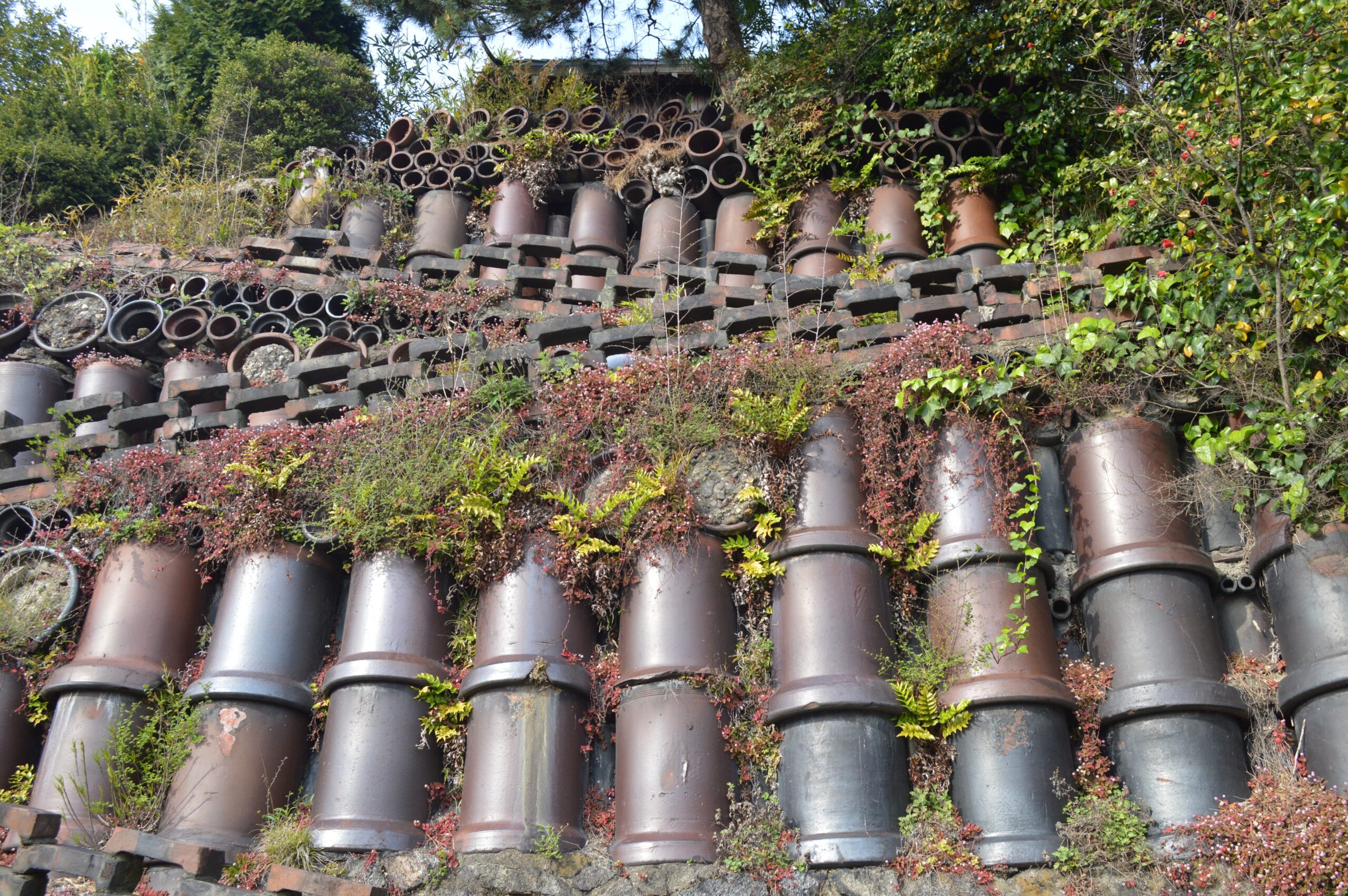 三州高濱鬼之道坡道