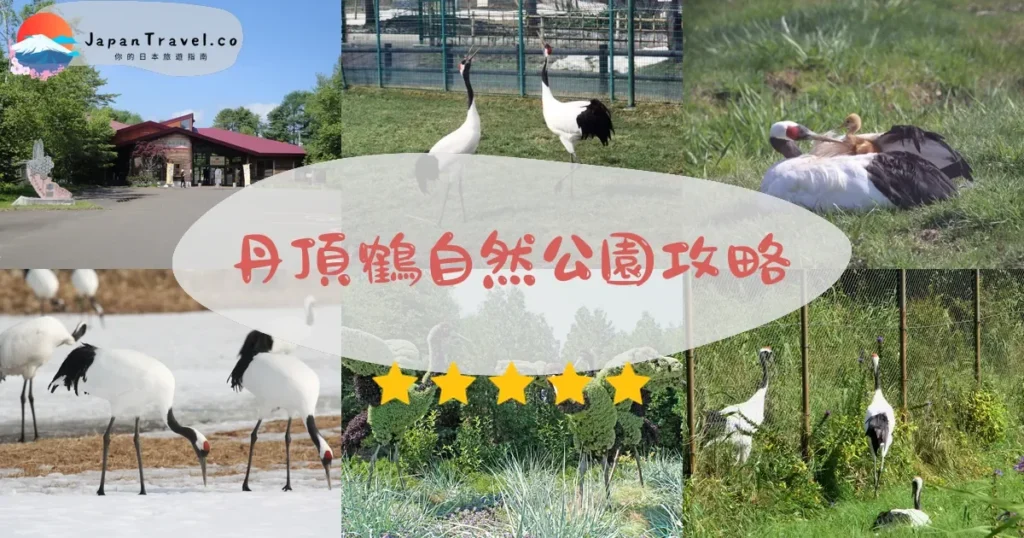 釧路丹頂鶴自然公園攻略 - 完整遊覽指南 | JapanTravel.co