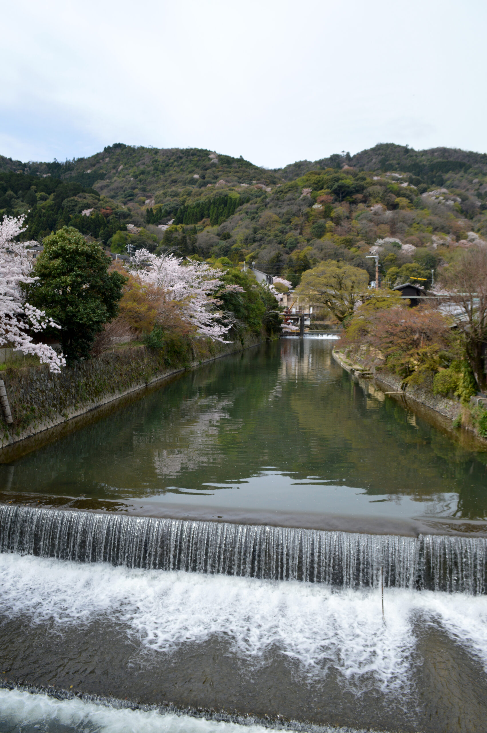 京都中之島橋眺望桂川運河