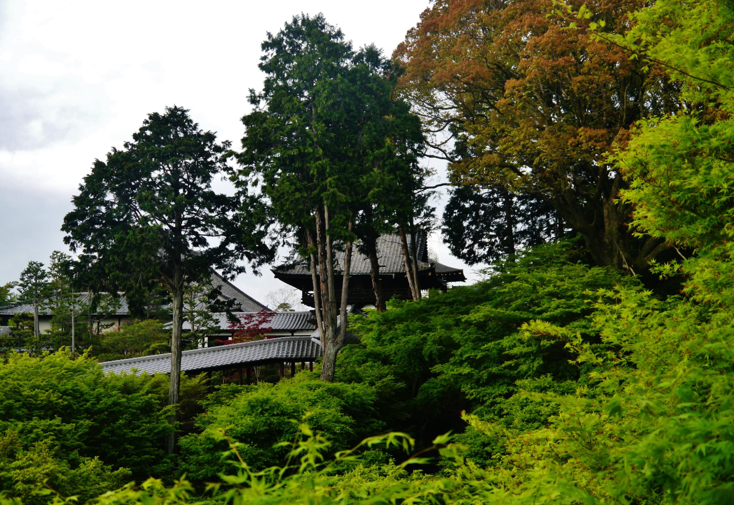 京都東福寺通天橋