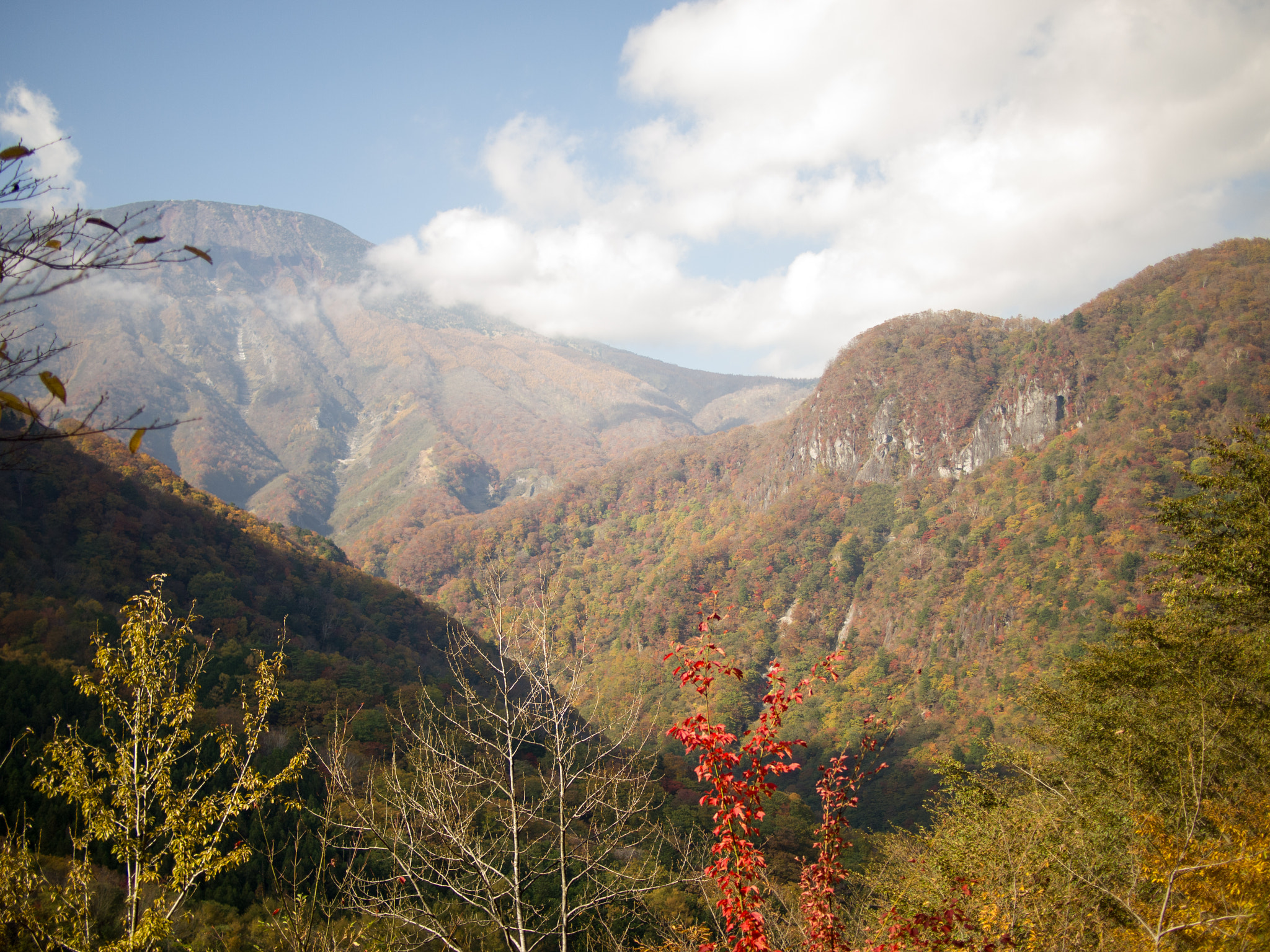伊呂波坂秋季景色